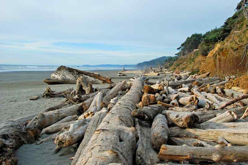 Kalaloch