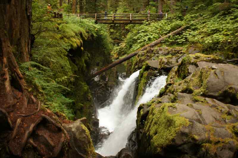 Sol Duc