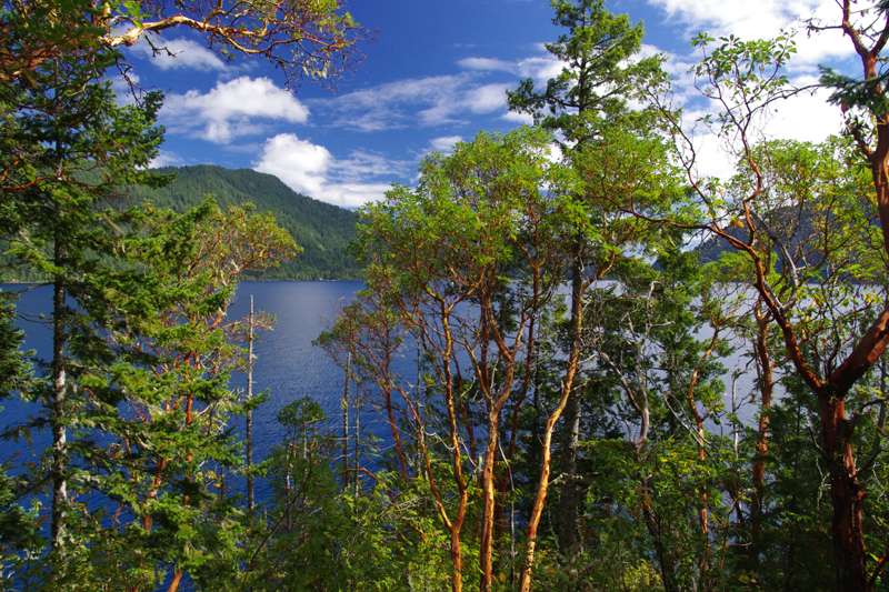 Spruce Railroad trail