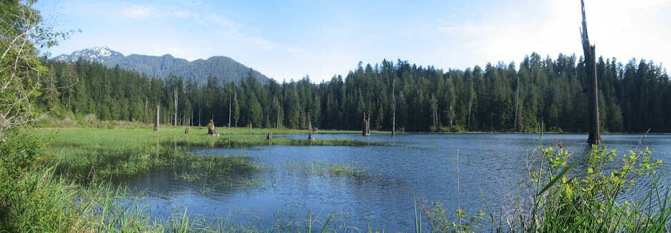 Olympic National Park