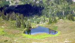 Olympic National Park