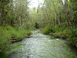 Olympic National Park