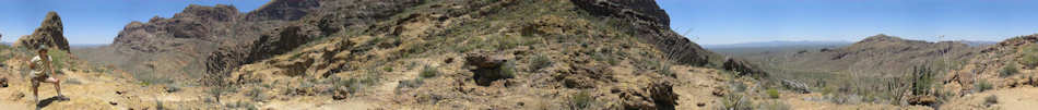 Organ Pipe Cactus National Monument