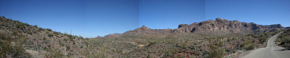 Organ Pipe Cactus National Monument