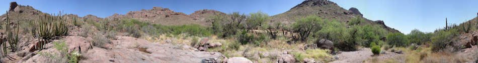 Organ Pipe Cactus National Monument