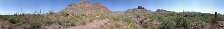 Organ Pipe Cactus National Monument