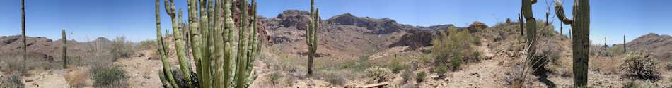 Organ Pipe Cactus National Monument