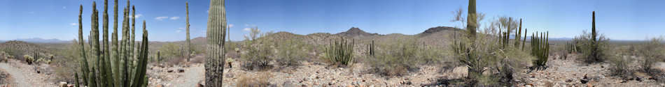 Organ Pipe Cactus National Monument