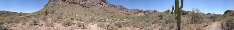 Organ Pipe Cactus National Monument