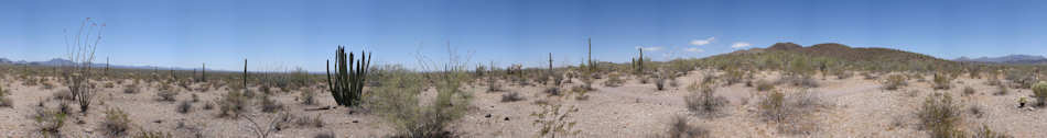 Organ Pipe Cactus National Monument