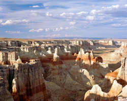 Painted desert