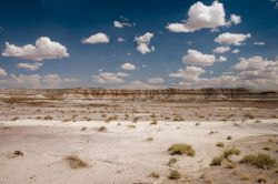 Painted desert