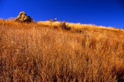 Pecos National Historical Park