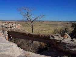 Petrified Forest National Park