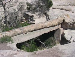 Petrified Forest National Park