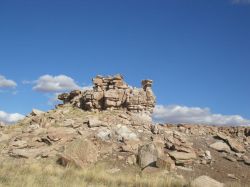 Petrified Forest National Park