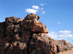 Petrified Forest National Park