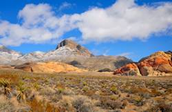 Red Rock Canyon National Conservation Area