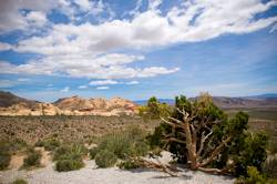 Red Rock Canyon National Conservation Area