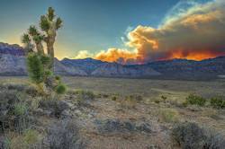 Red Rock Canyon National Conservation Area