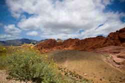 Red Rock Canyon National Conservation Area