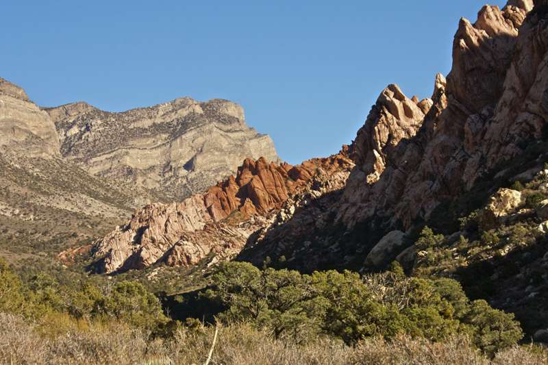 La Madre Springs