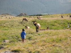 Rocky Mountain National Park