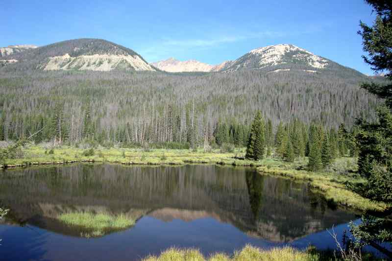 Beaver Ponds