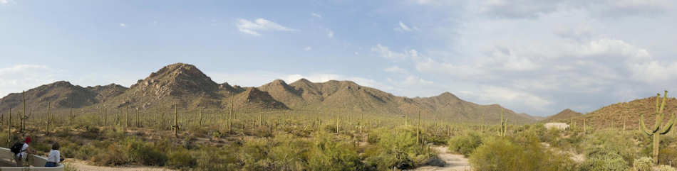 Saguaro National Park