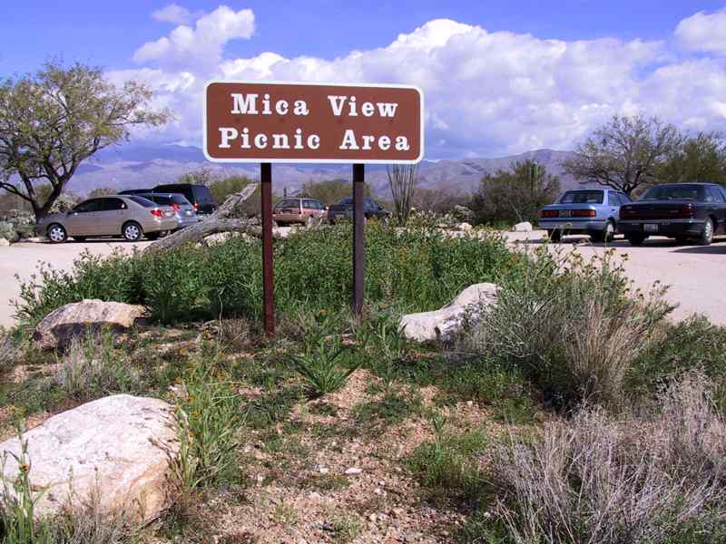 Mica View