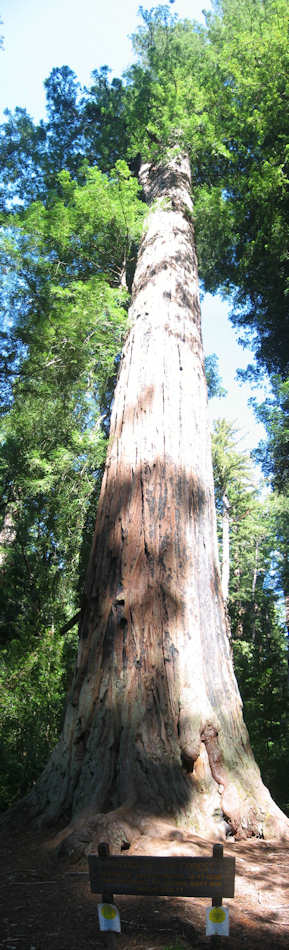 Sequoia National Park et Kings Canyon