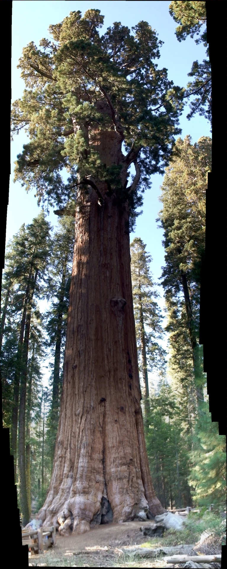 Sequoia National Park, bienvenue aux pays des gÃ©ants