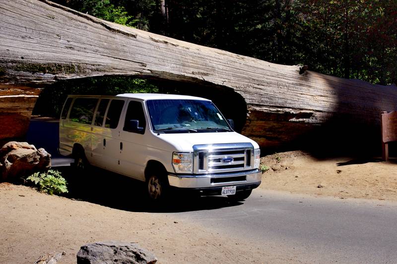 Tunnel Log