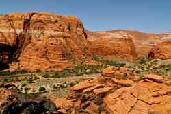 Snow Canyon State Park