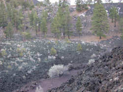 Sunset Crater Volcano National Monument