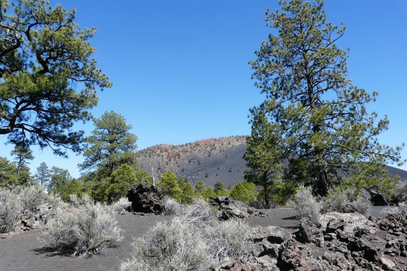 Lava's Edge Trail