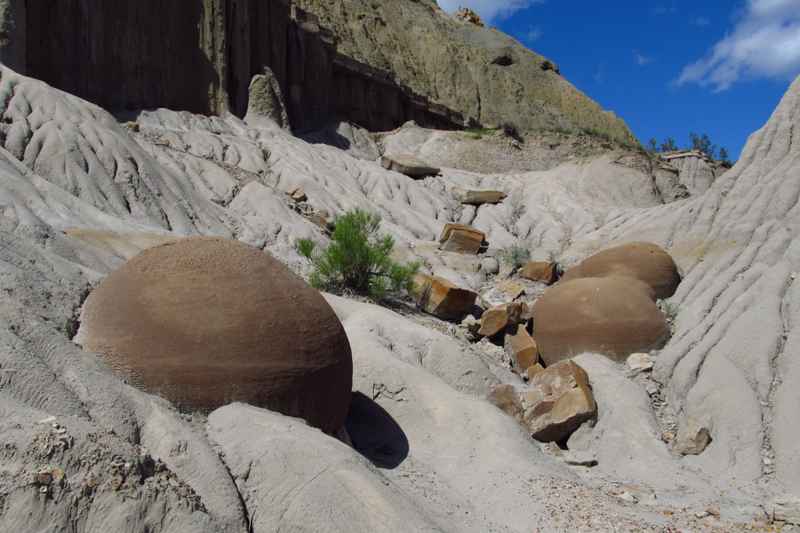 Cannonball Concretions