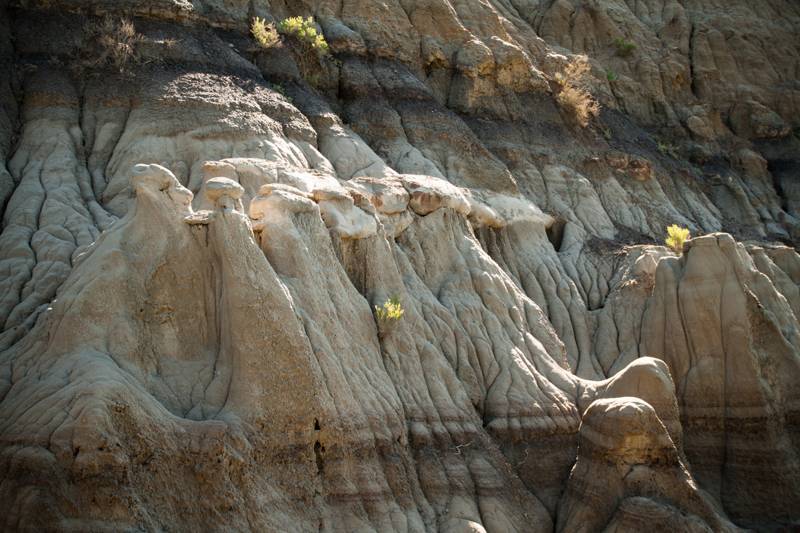 Caprock Coulee Nature Trail