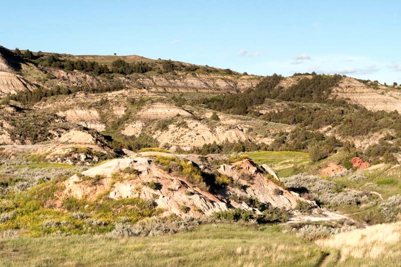 Coal Vein Trail