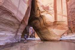 Vermilion Cliffs National Monument