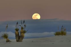 White Sands National Park