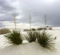 White Sands National Park