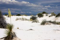 White Sands National Park