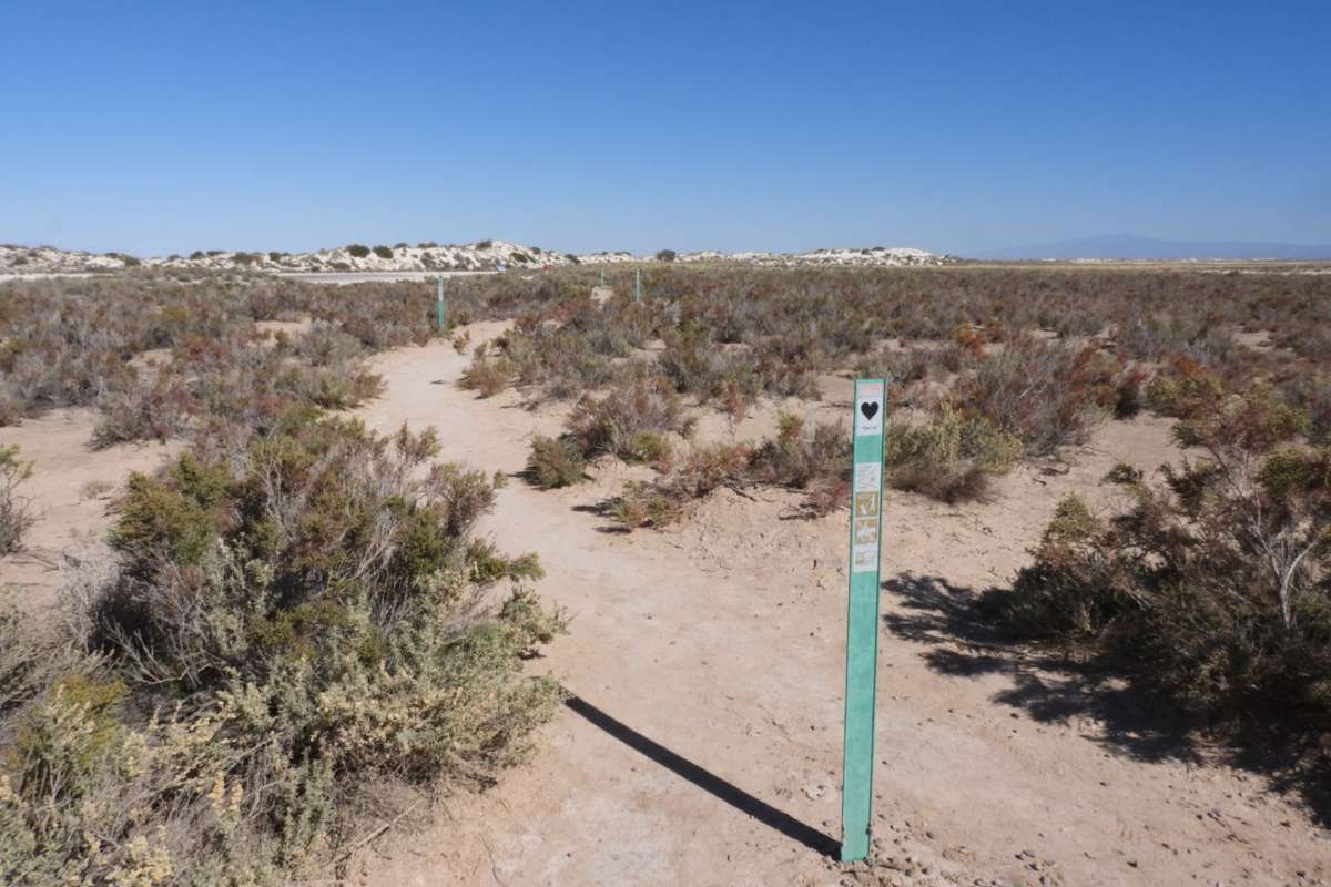 Playa Trail