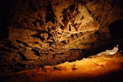 Wind Cave National Park