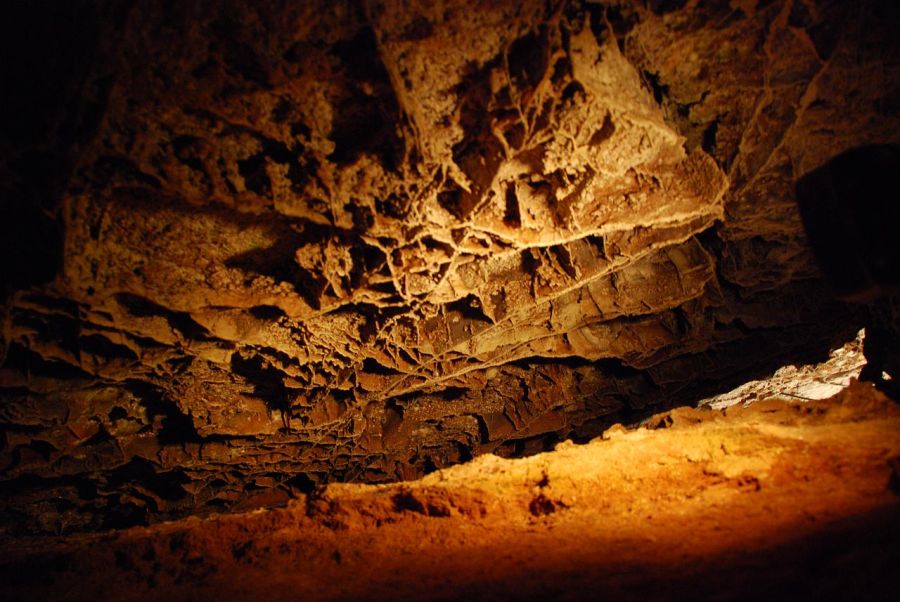 Travaux, routes fermées Wind Cave National Park