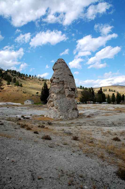Liberty Cap