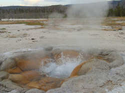 Yellowstone National Park