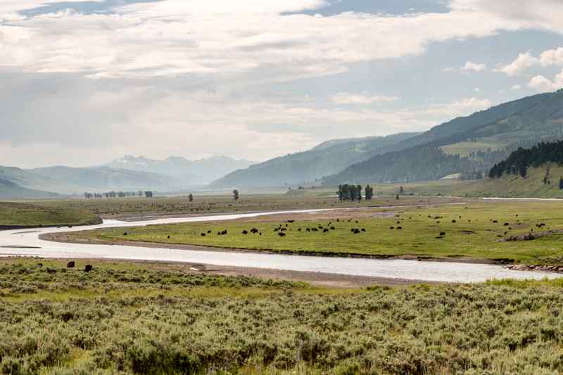 Lamar Valley