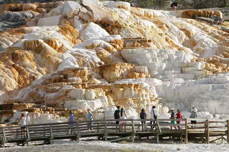 Mammoth Hot Springs